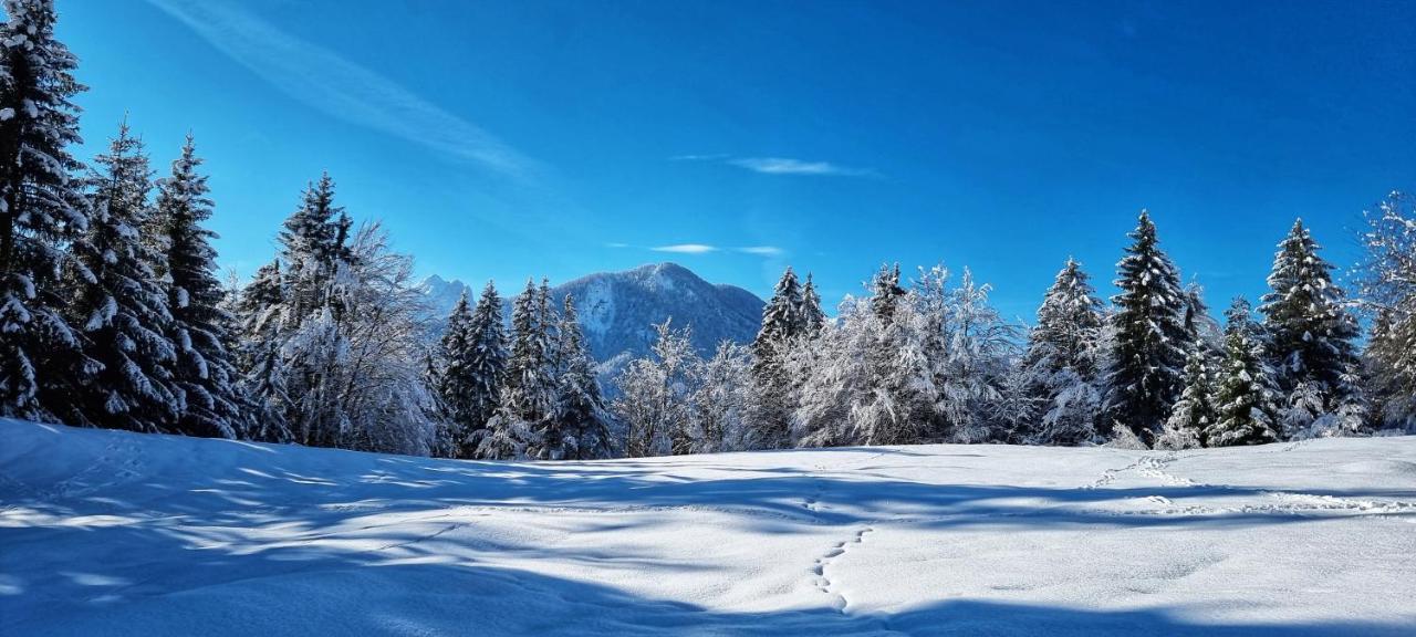 Apartma Ursic Kranjska Gora Exteriér fotografie