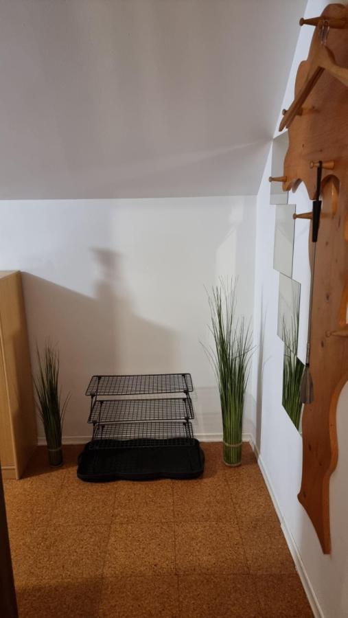 Apartma Ursic Kranjska Gora Exteriér fotografie